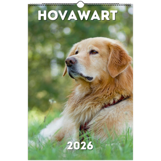 Hovawart  Wall Calendar 2026