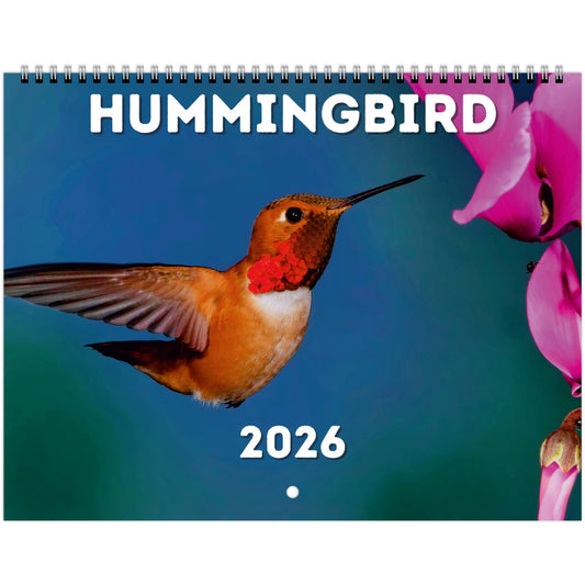Hummingbird Wall Calendar 2026