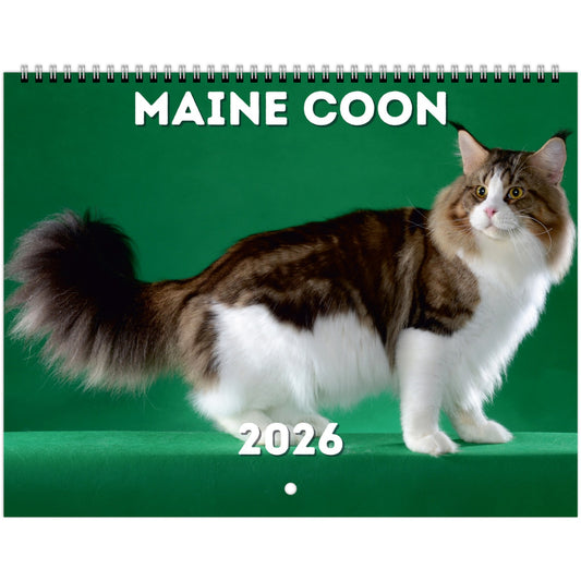Maine Coon Wall Calendar 2026