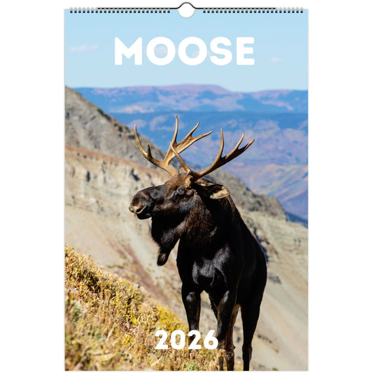 Moose Wall Calendar 2026