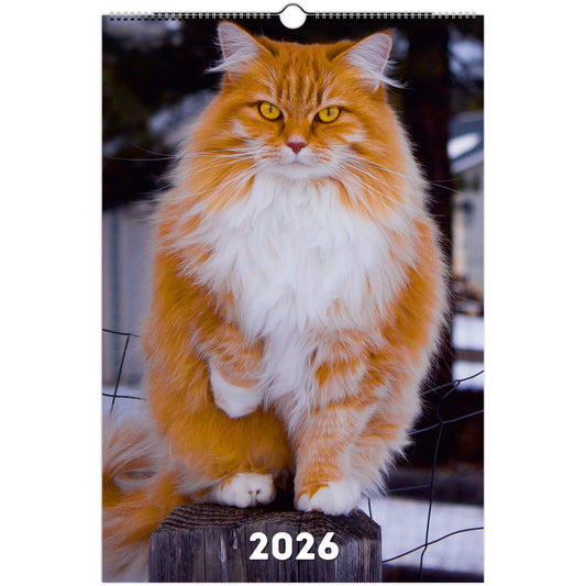 Norwegian Forest Cat Wall Calendar 2026