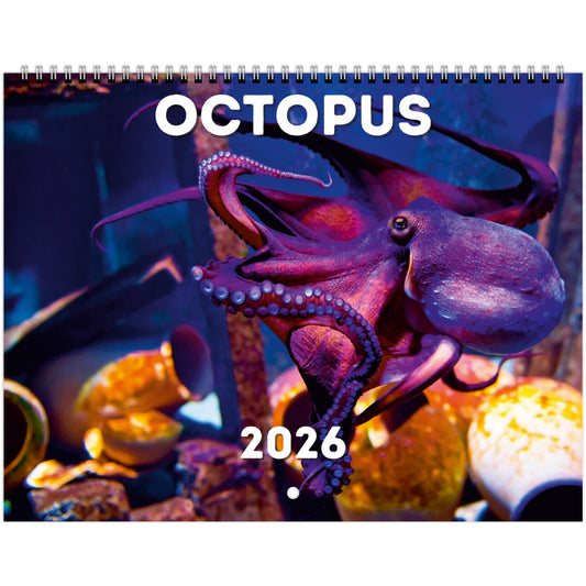 Octopus Wall Calendar 2026
