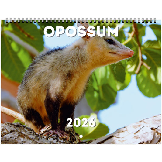 Opossum Wall Calendar 2026