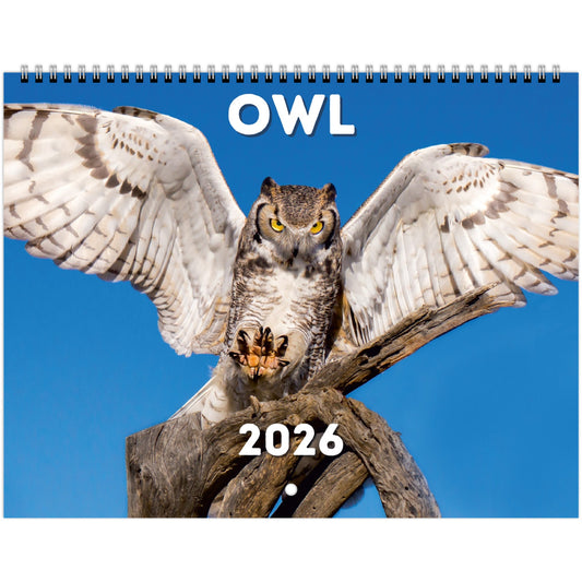 Owl Wall Calendar 2026