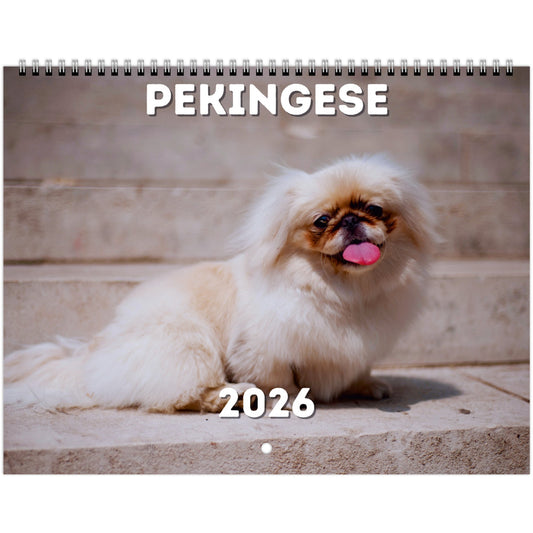 Pekingese Wall Calendar 2026