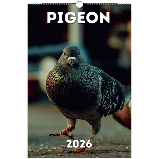 Pigeon Wall Calendar 2026