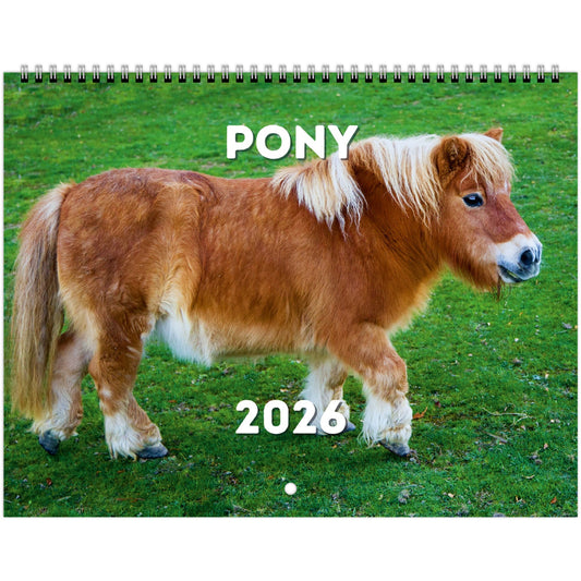 Pony Wall Calendar 2026