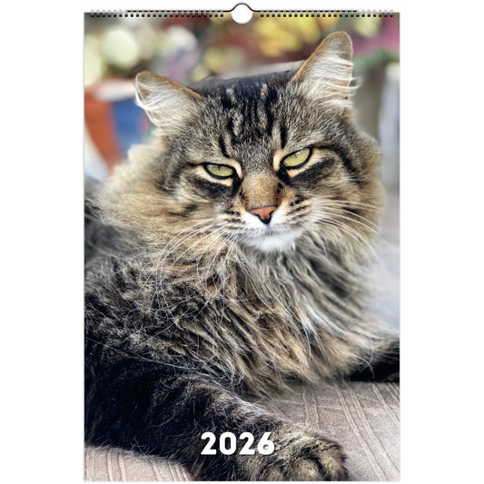 Ragamuffin Cat Wall Calendar 2026