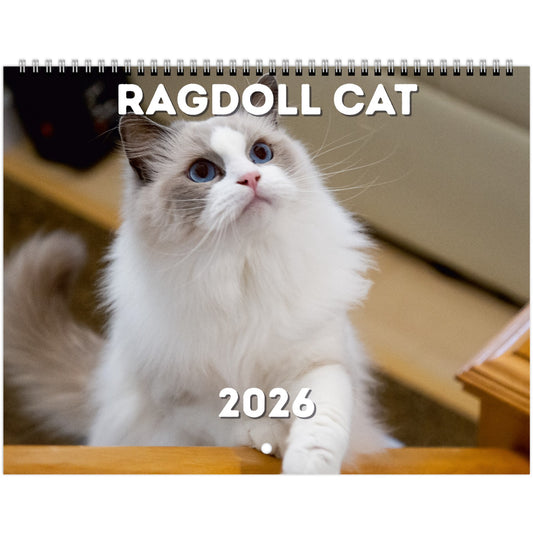 Ragdoll Cat Wall Calendar 2026