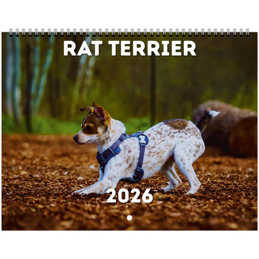 Rat Terrier Wall Calendar 2026