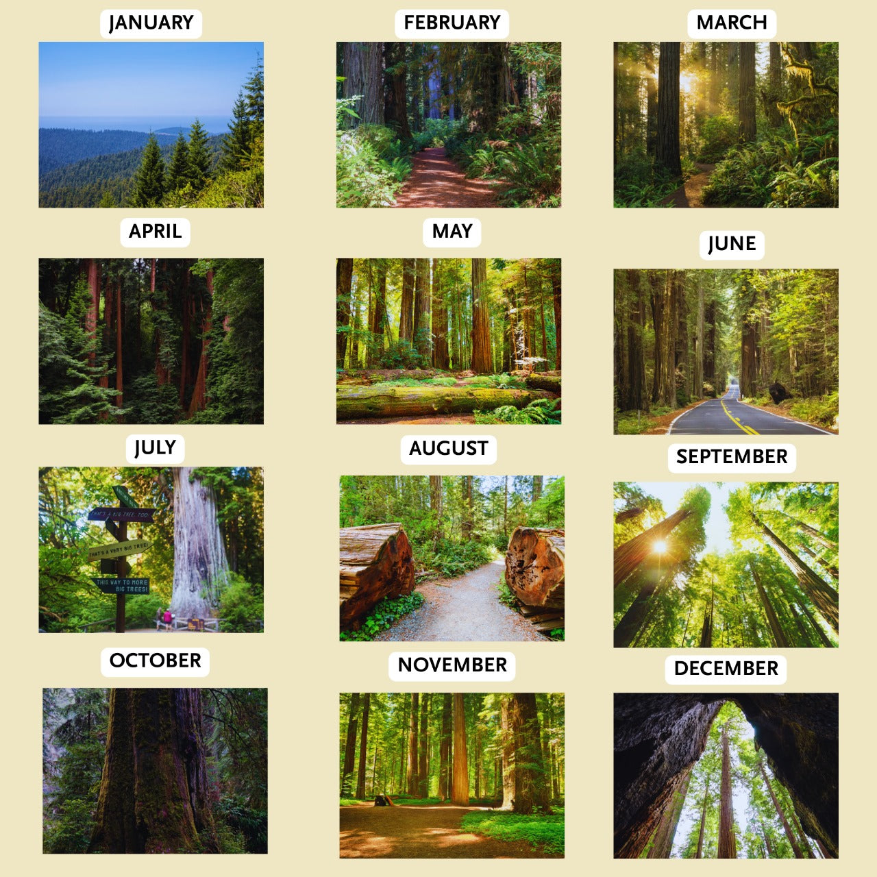 Redwood 2026 Calendar