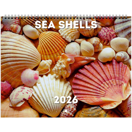 Sea Shells Wall Calendar 2026