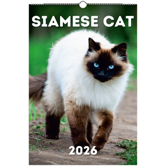 Siamese Cat Wall Calendar 2026