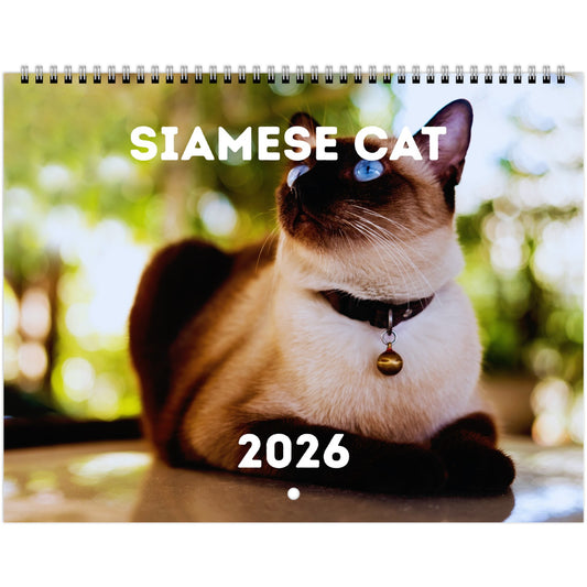 Siamese Cat Wall Calendar 2026
