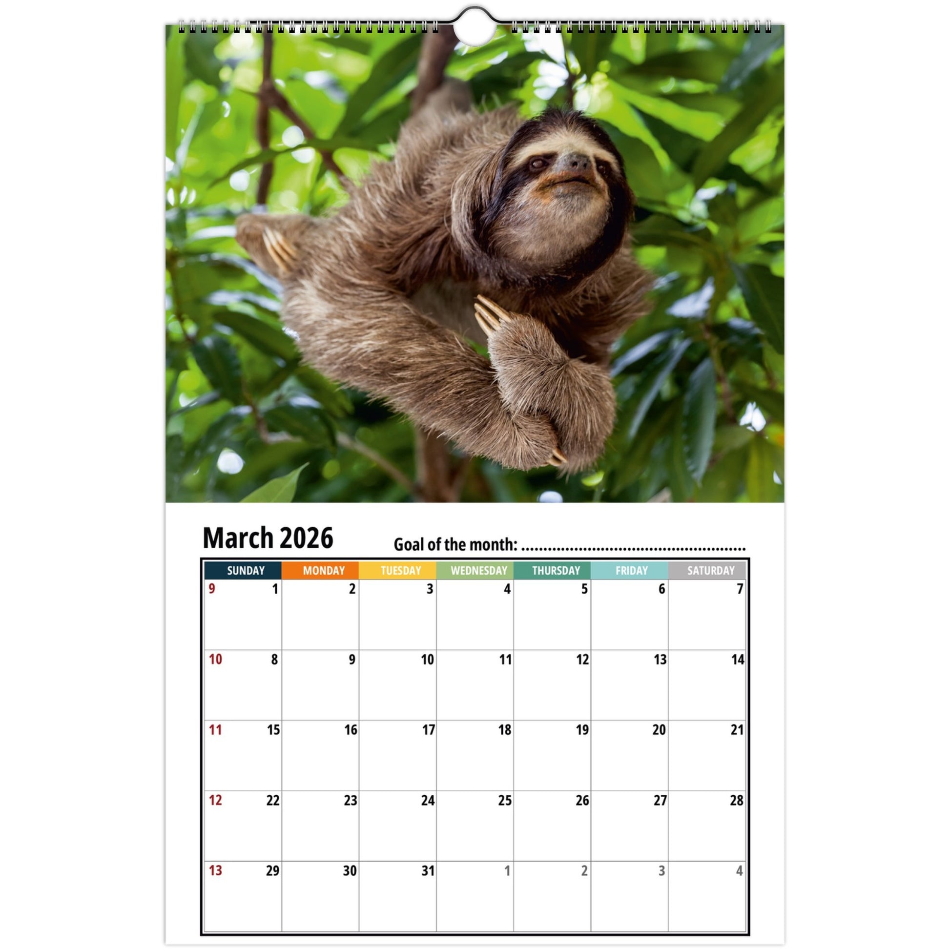 Sloth march 2026