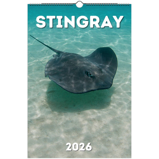 Stingray Wall Calendar 2026