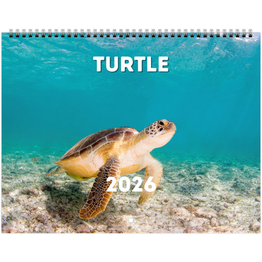 Turtle Wall Calendar 2026