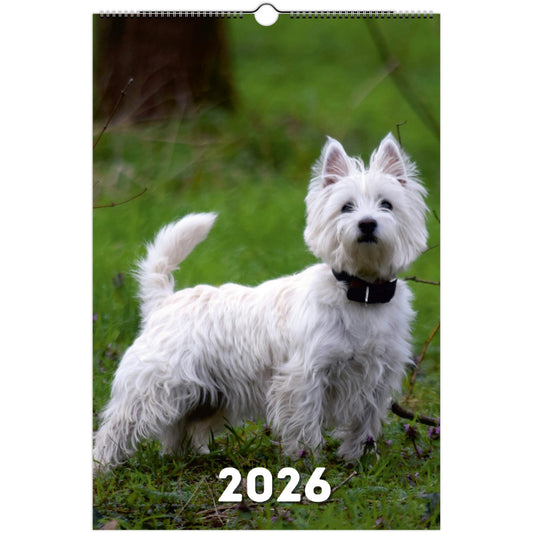 West Highland Terrier Wall Calendar 2026