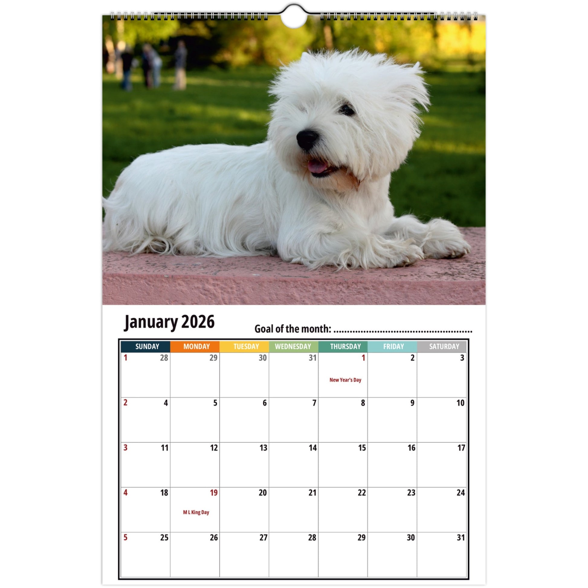 West Highland Terrier Wall Calendar 2026 1