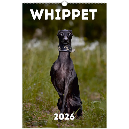 Whippet Wall Calendar 2026