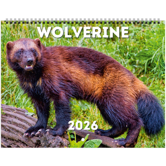 Wolverine Wall Calendar 2026