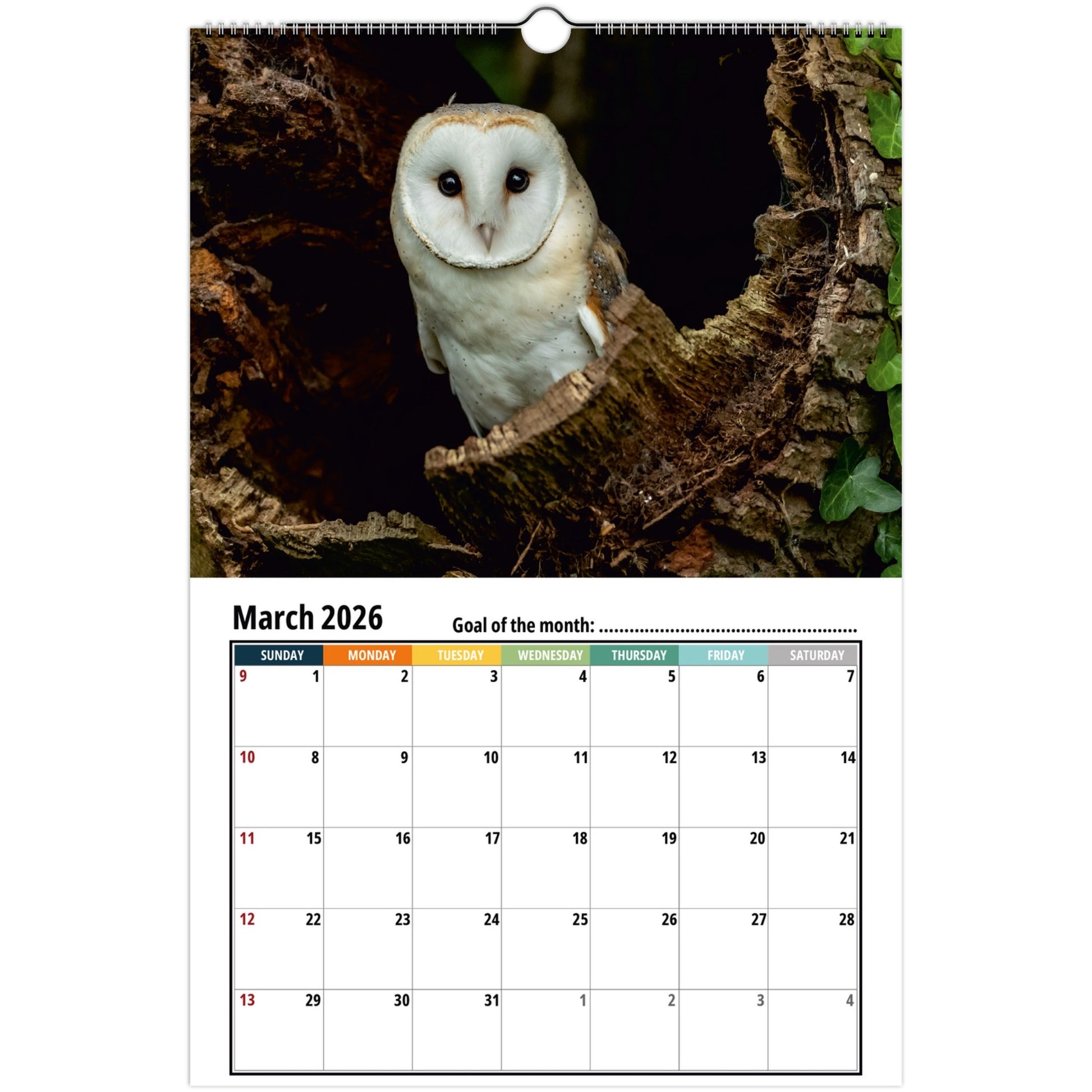 a2ff7707-0276-4e83-9b62-1216bd65559c