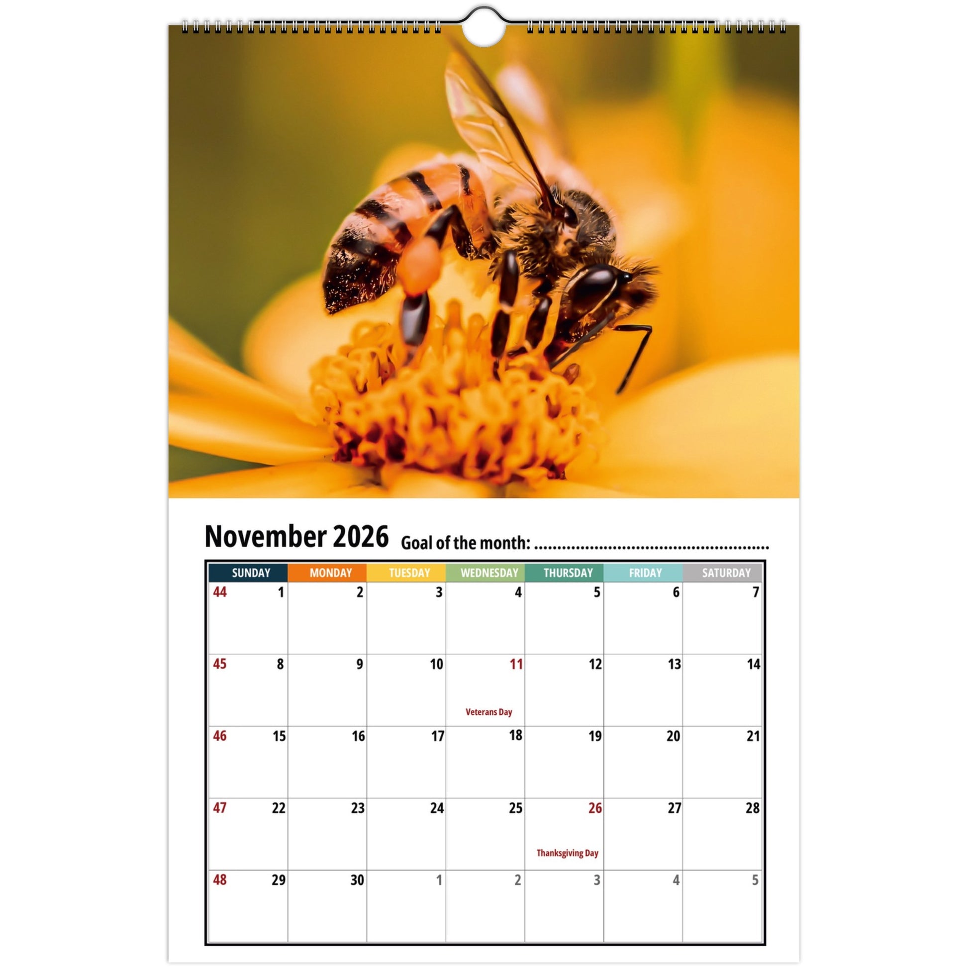 Bee Wall Calendar 2026