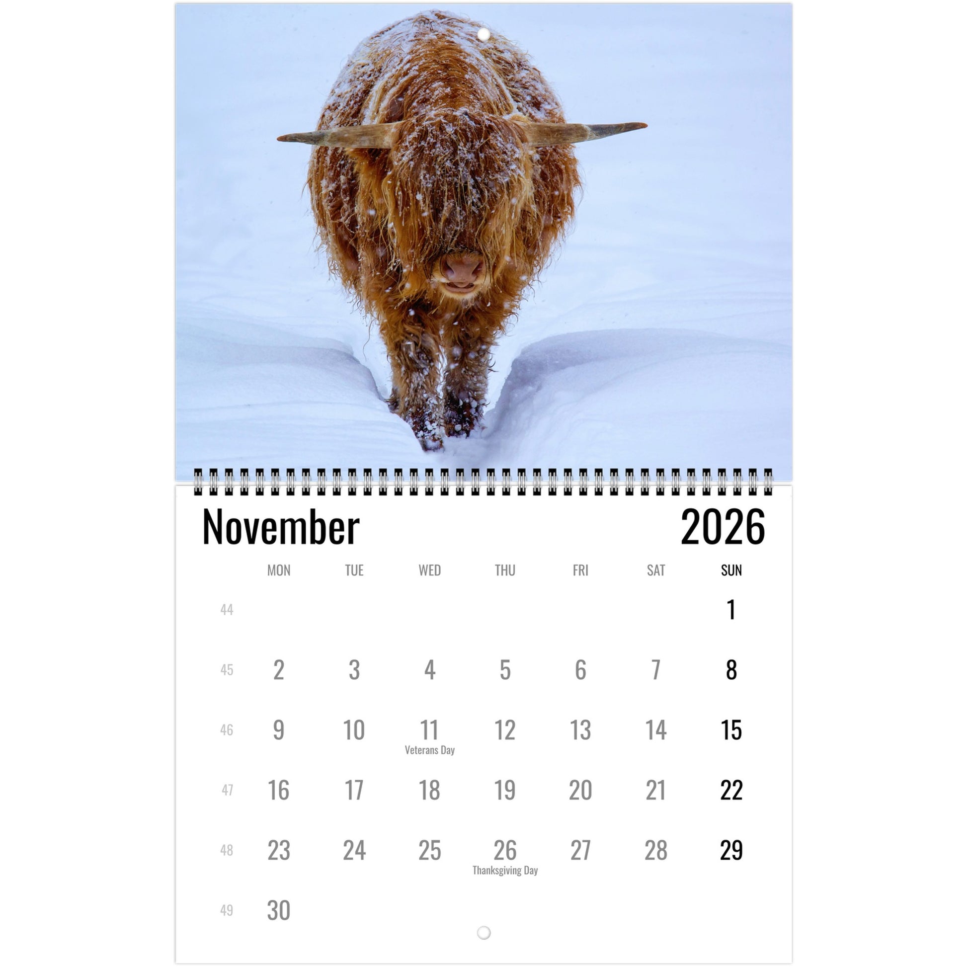 a6482f1d-9060-44fe-918e-751e160156c1