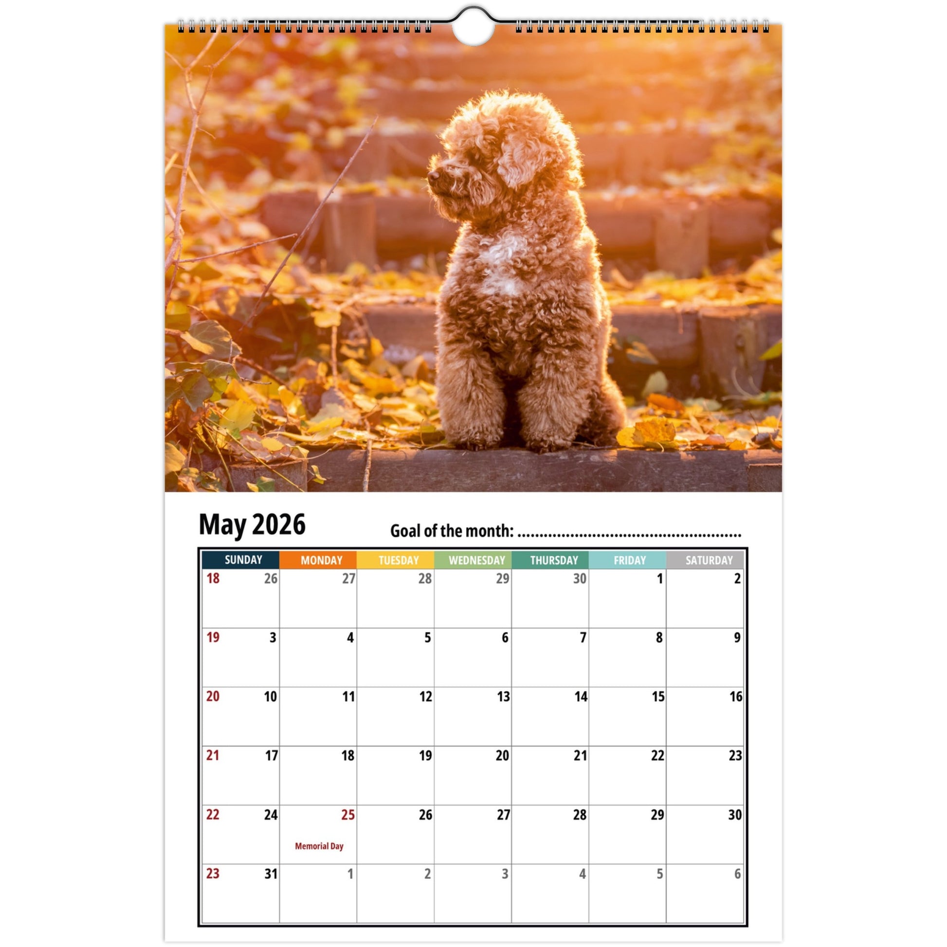 b3714136-9869-4162-8462-f5570de1932f