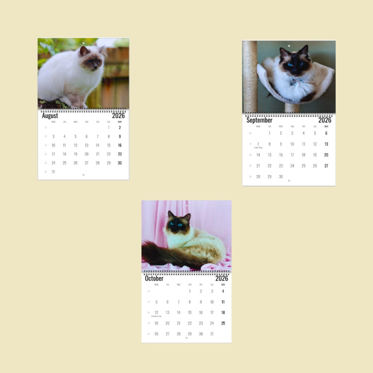 Birman Cat Wall Calendar 2026