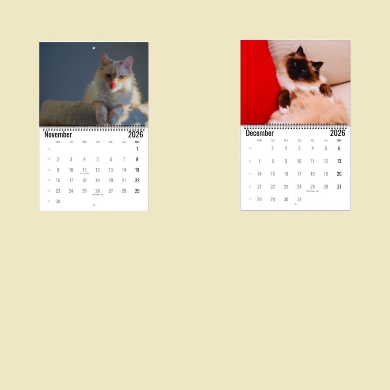 Birman Cat Wall Calendar 2026