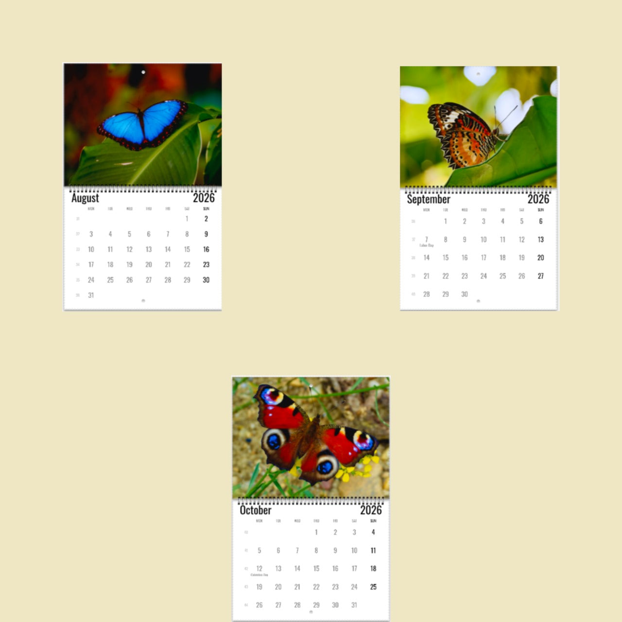 Butterfly Wall Calendar 2026