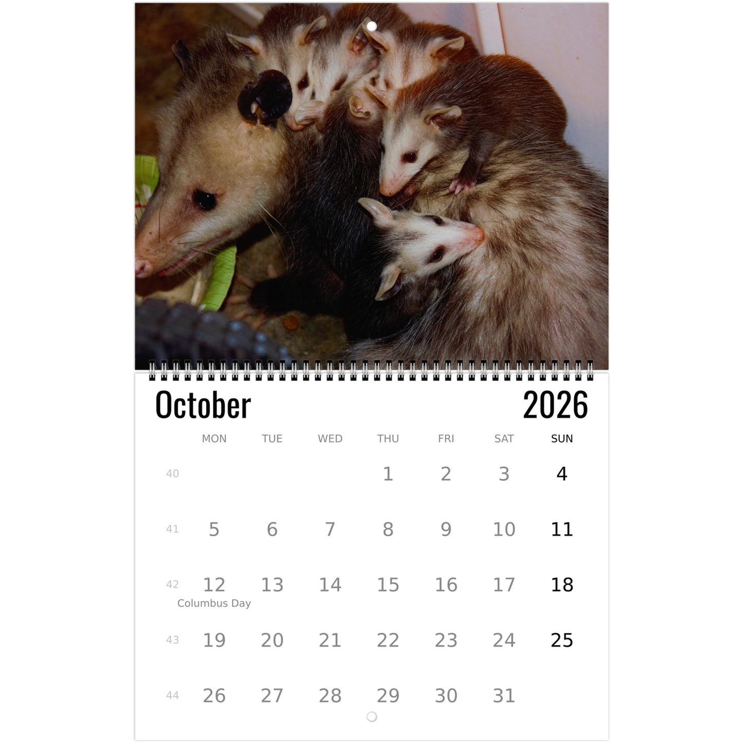 c65ac7a2-8e1c-468d-b9c0-a2bbbb9e2293