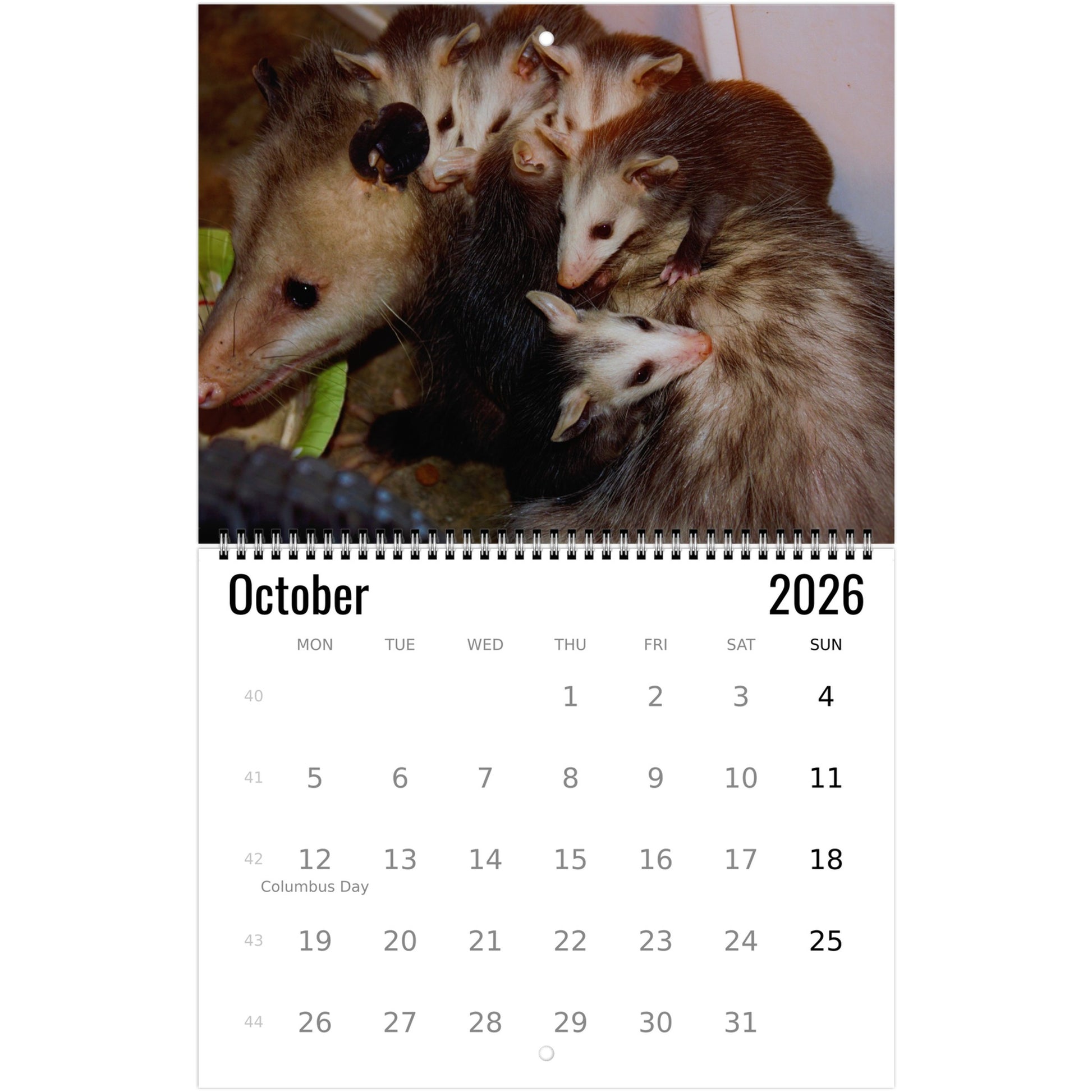 c65ac7a2-8e1c-468d-b9c0-a2bbbb9e2293