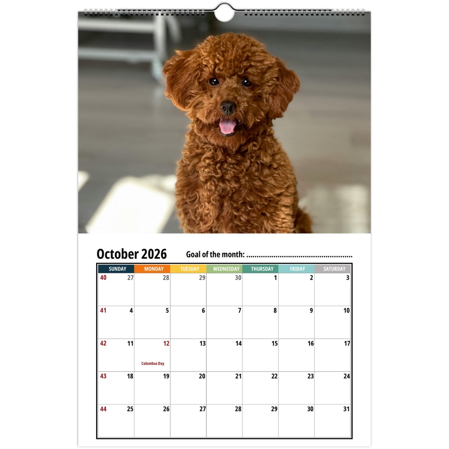 c9fc4332-1366-435a-b1f8-b0304a7083a3