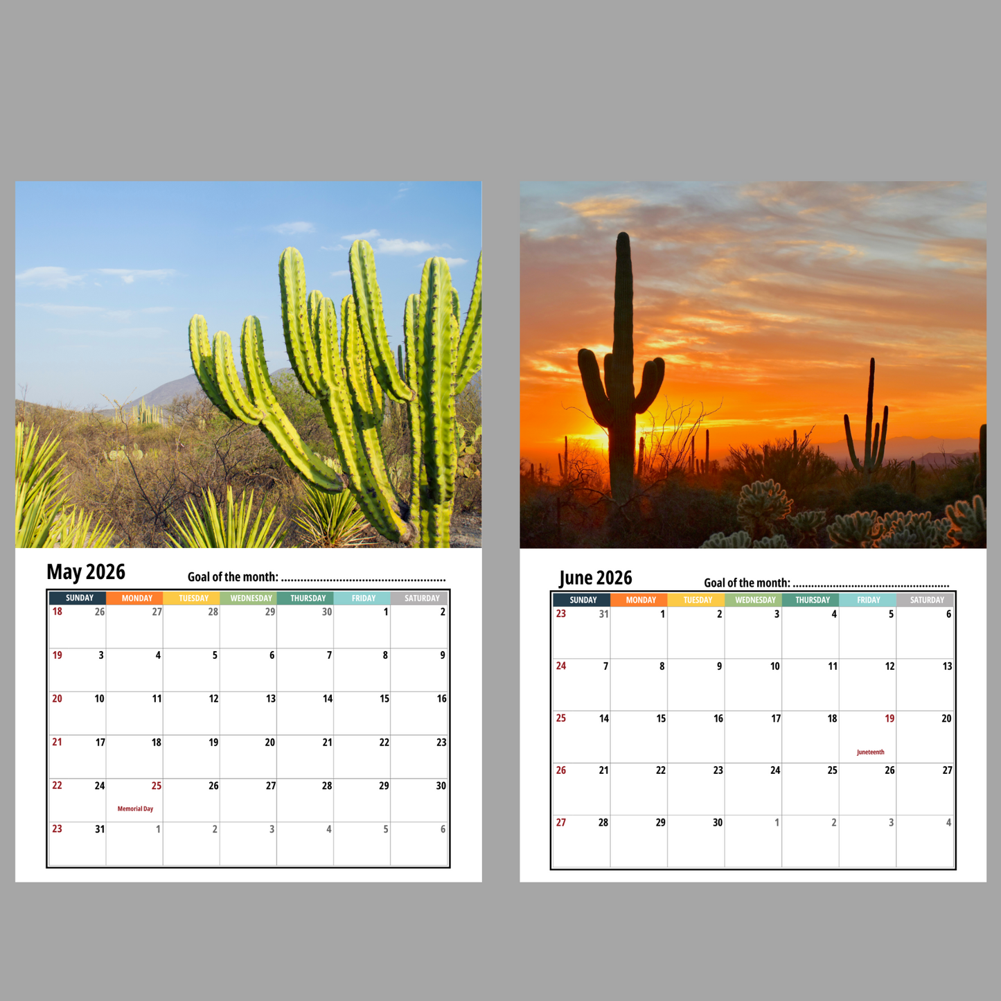 Cactus Wall Calendar 2026
