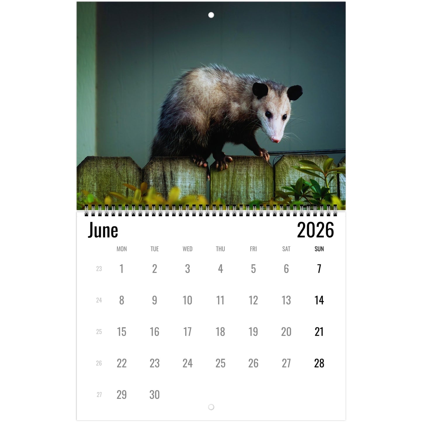 cd2849f4-db24-4a88-a227-89cd7f64d70d