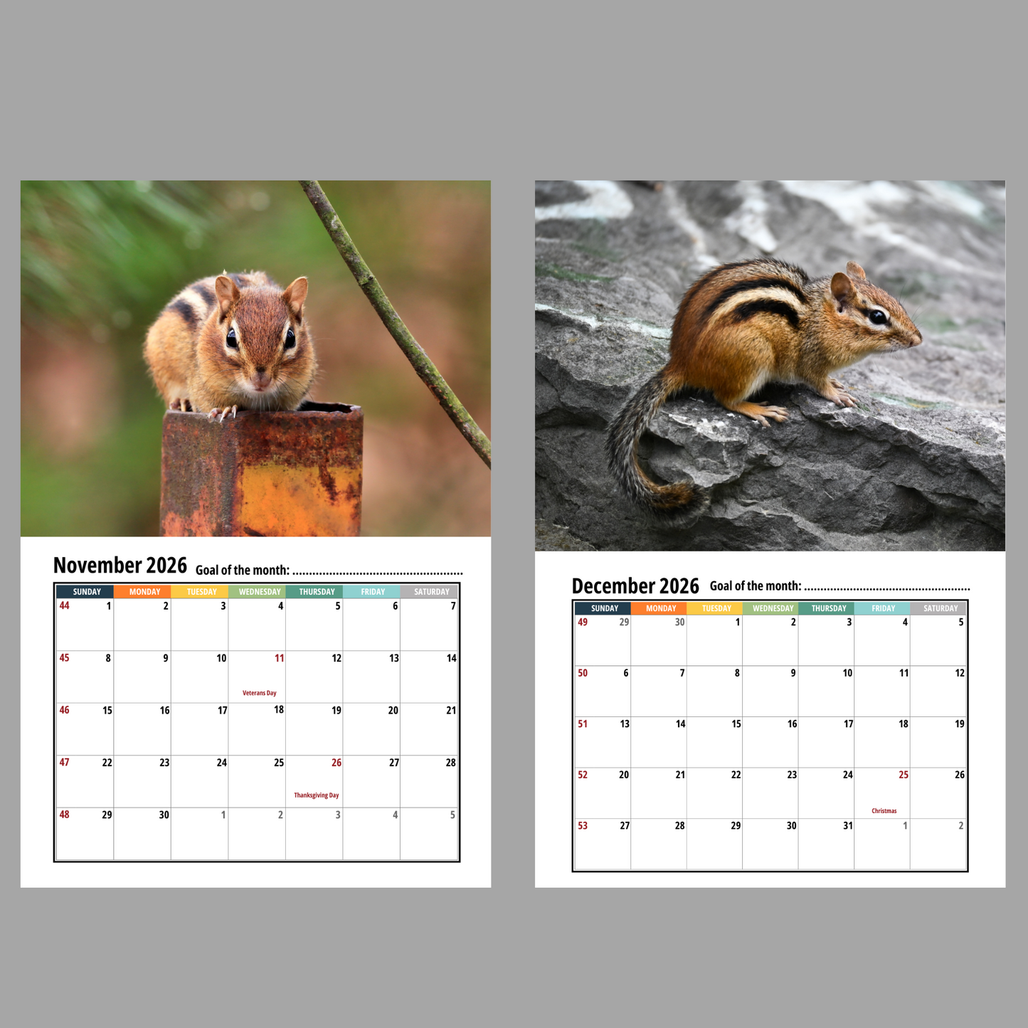 Chipmunk Wall Calendar 2026