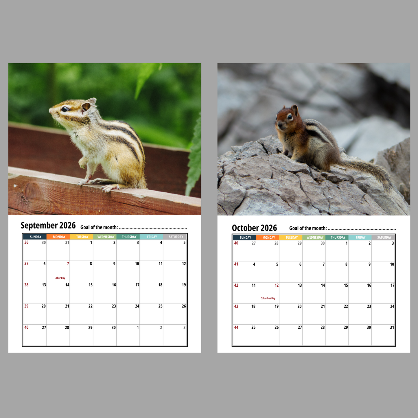 Chipmunk Wall Calendar 2026