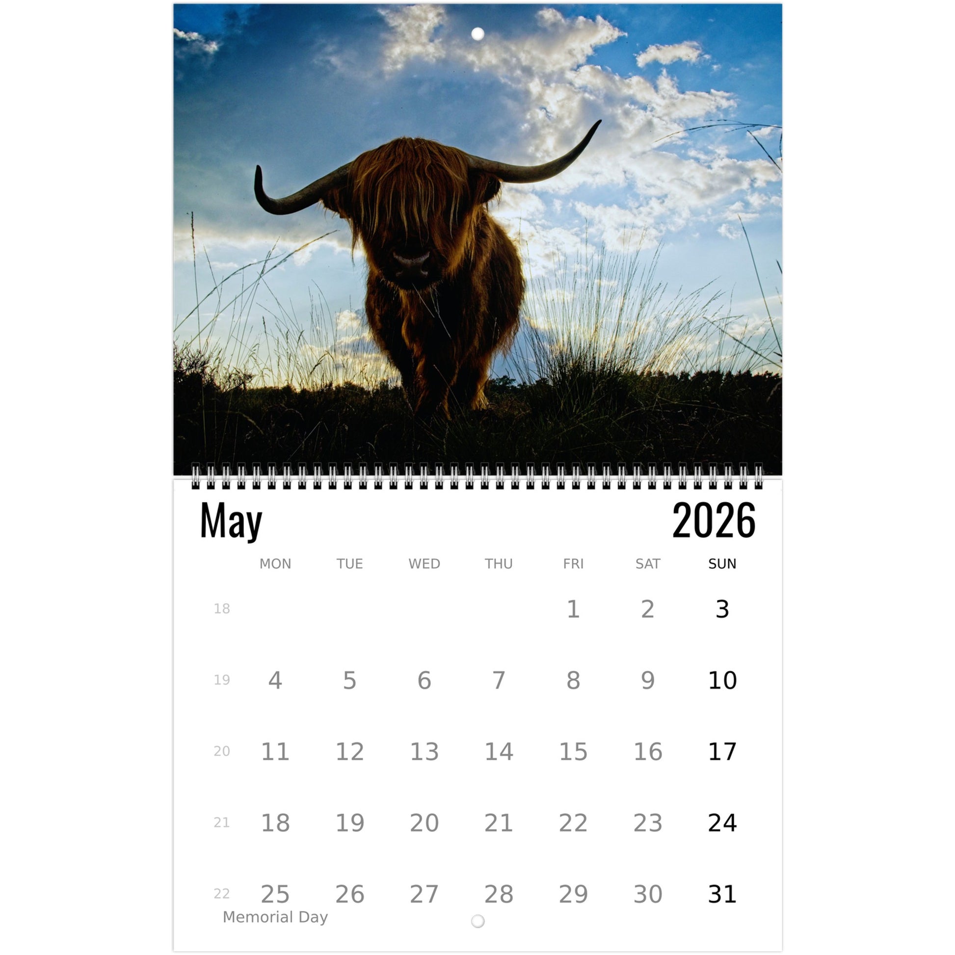 d30a8386-28f6-4dfc-974f-3e8c4508f530