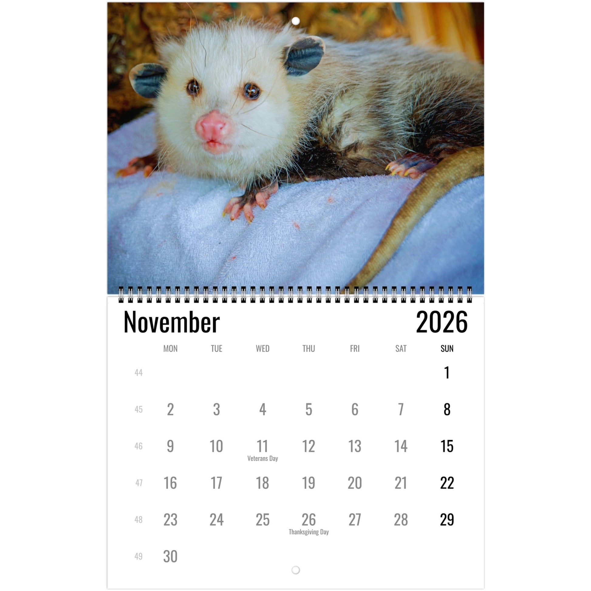 dcef59b4-8e9e-4d84-b94e-db91eb37e3ed