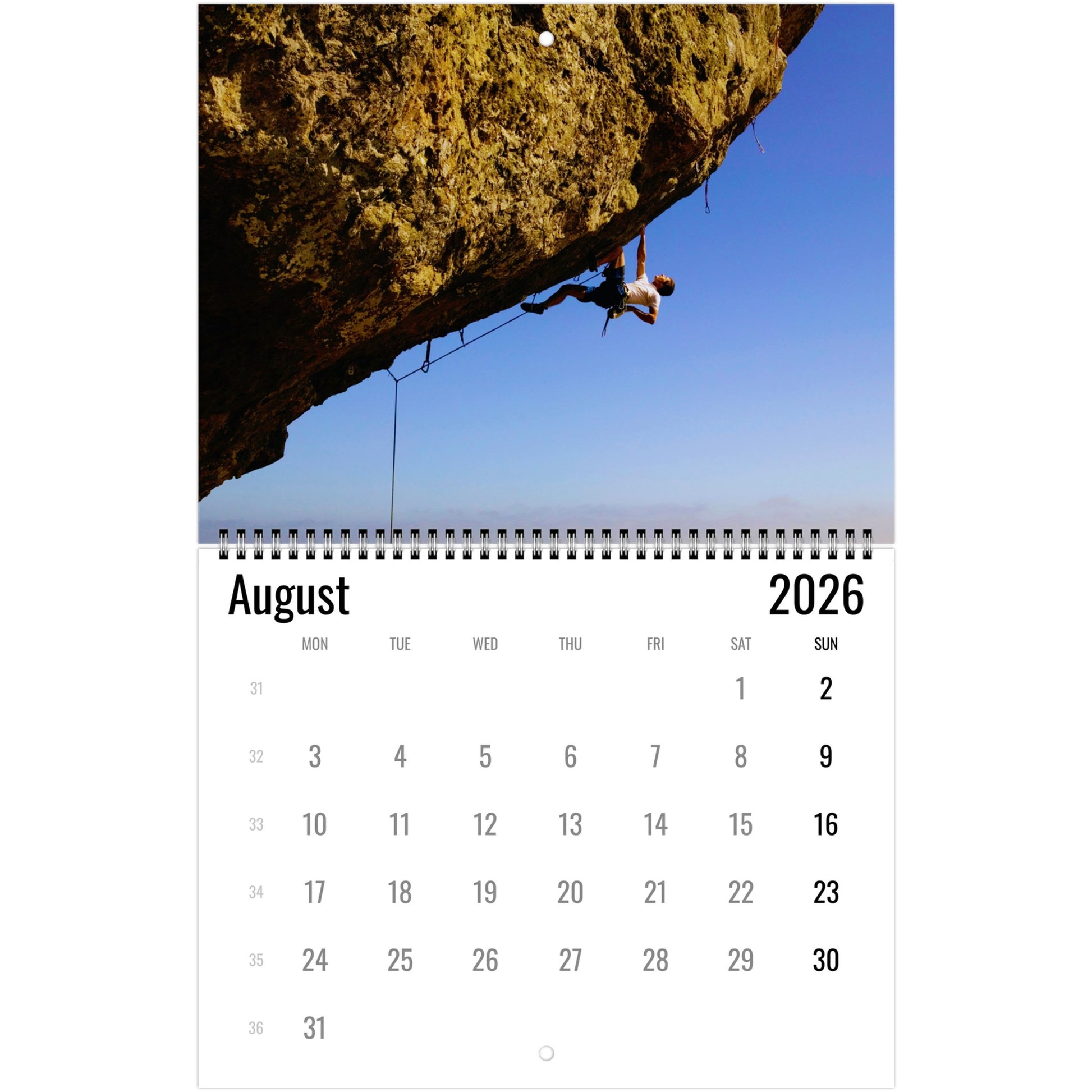 e7e97f29-8c3a-4c51-af1a-01924ddd0cd3