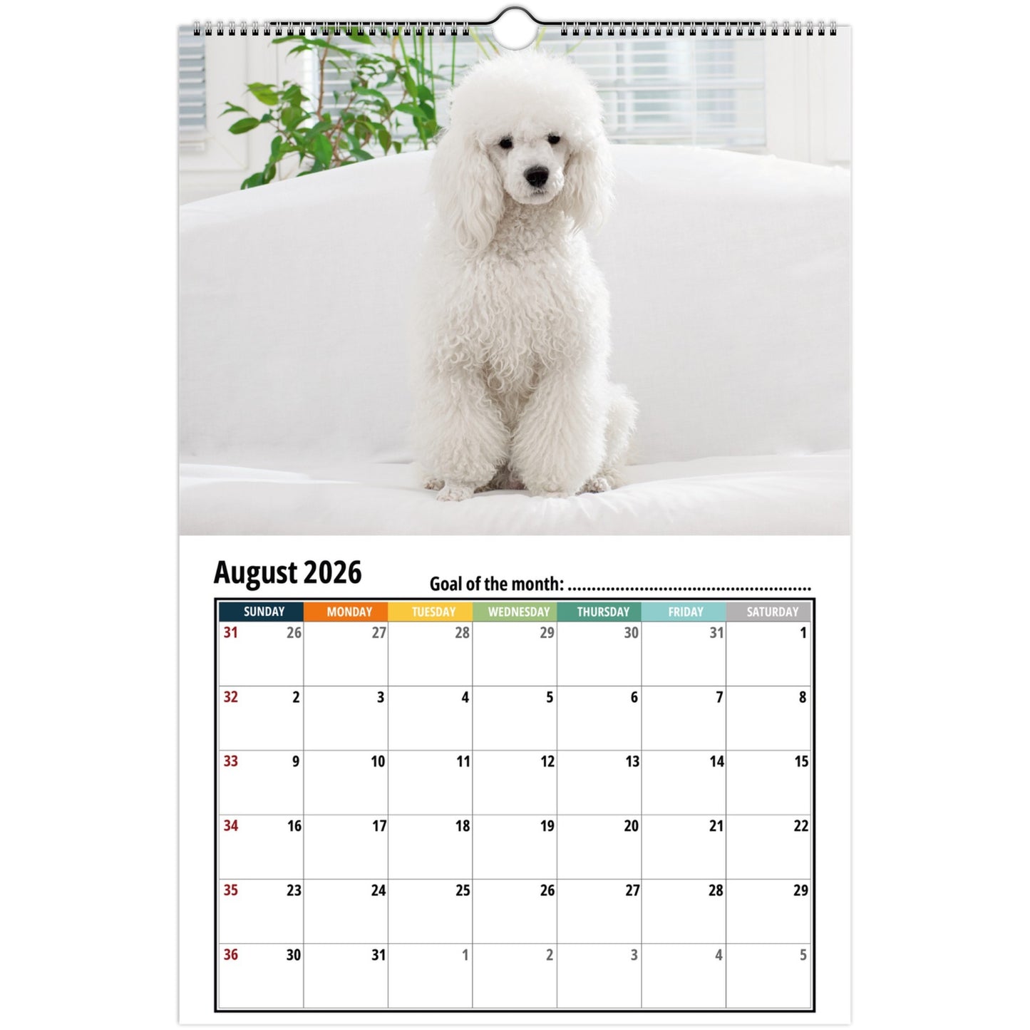 e94a0c2f-5698-411b-8bf7-d93583ae5564