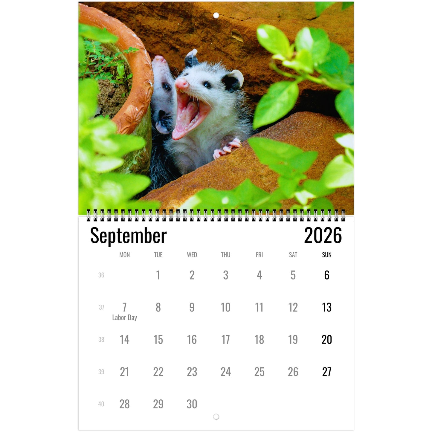 fd5d47eb-a15b-4d36-ba8e-013d00a1d79a