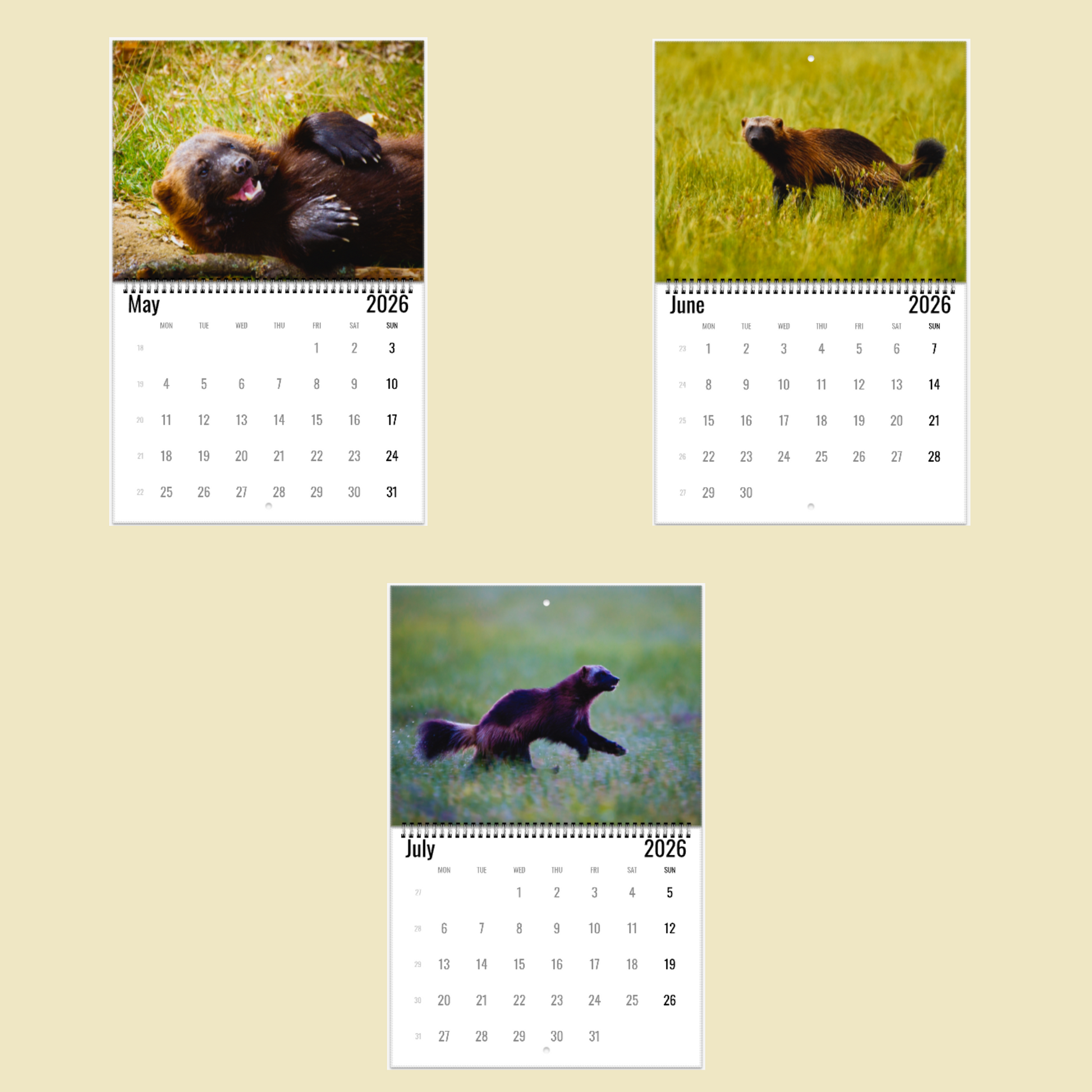 Wolverine Wall Calendar 2026